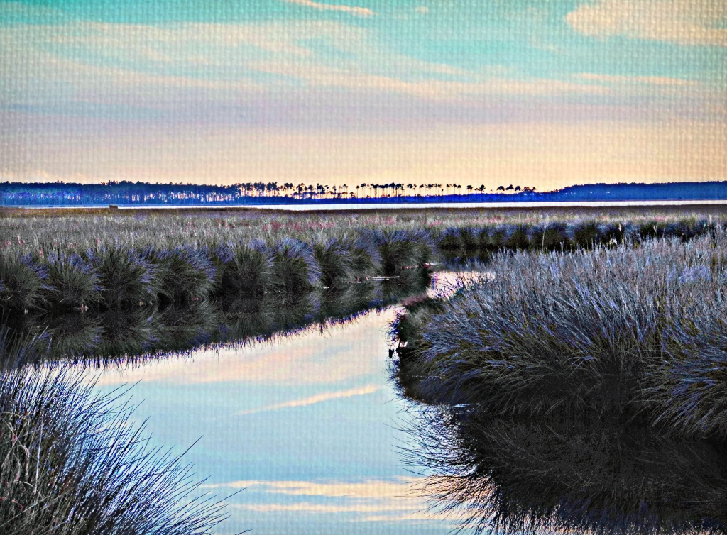 Coastal Reflections Hobucken, Pamlico County, North Carolina a photo