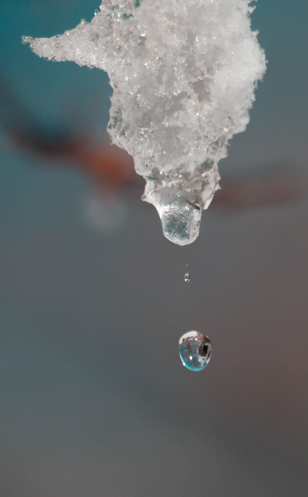 Ice melting Snow melting from yesterdays storm to make way… Flickr