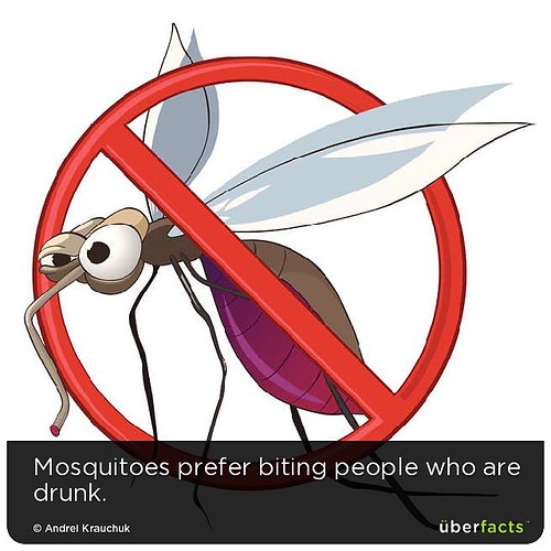 Mosquitoes prefer biting people who are drunk. uberfacts Flickr