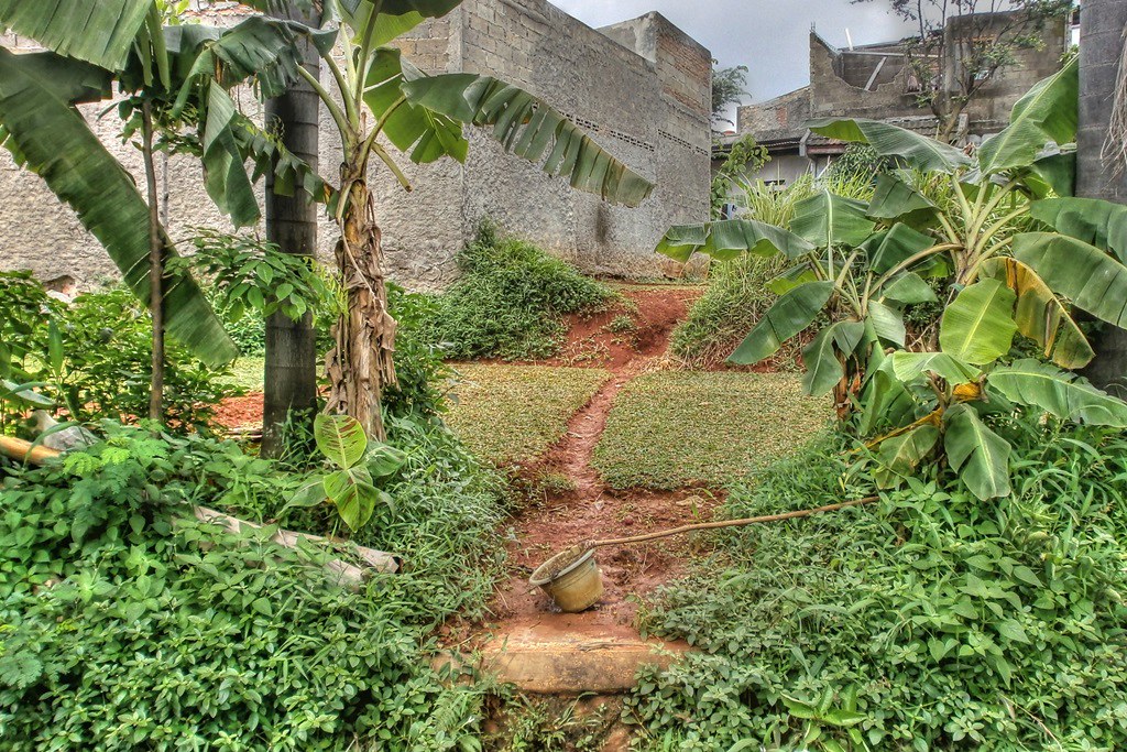 HDR12 a path of simple garden adiwirasta2001 Flickr