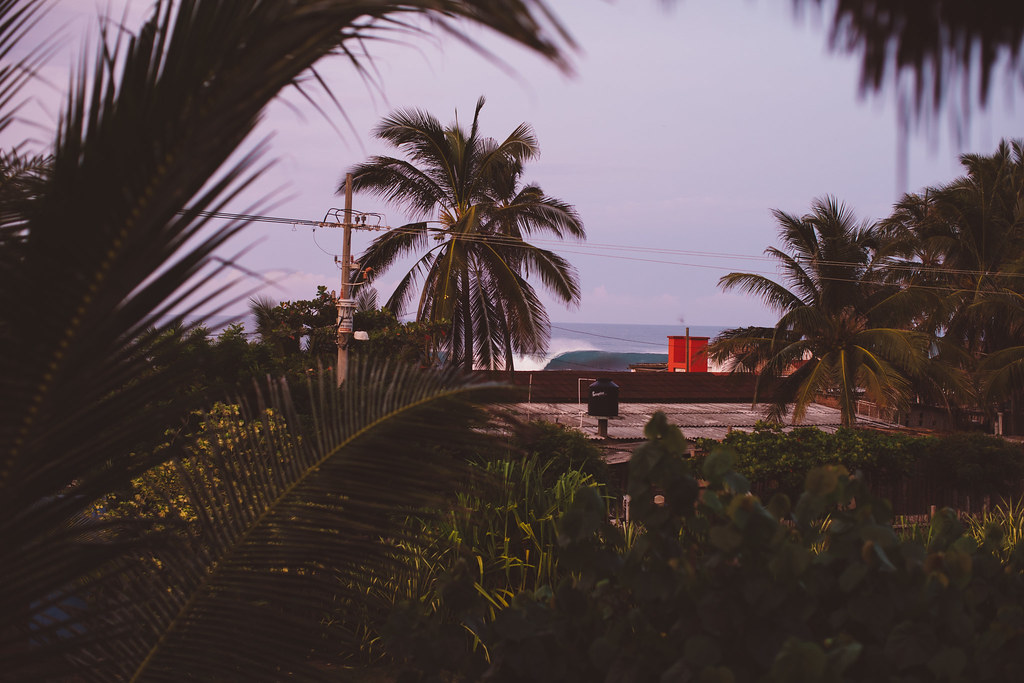 20161012pascualesTULL2839 James Tull Flickr