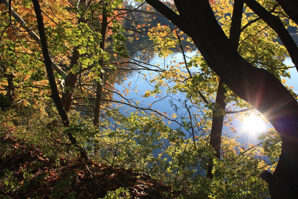 Sandy Run Quarry Sandy Run Park view of the former Navy Qu