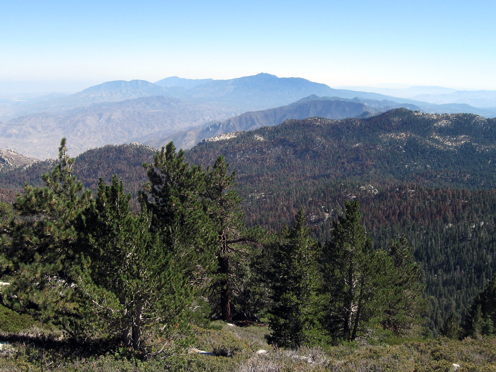 View from Wellman Divide Mitch Barrie Flickr