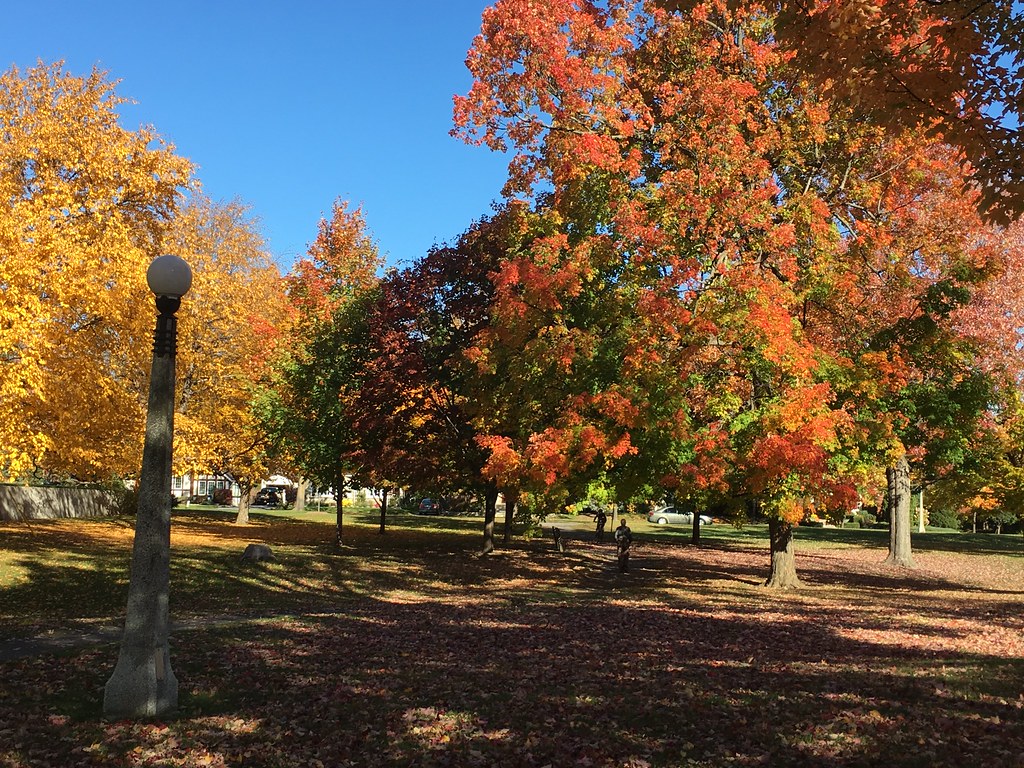 Getting my fall fix at Hampton Park Ottawa V Ross Dunn Flickr