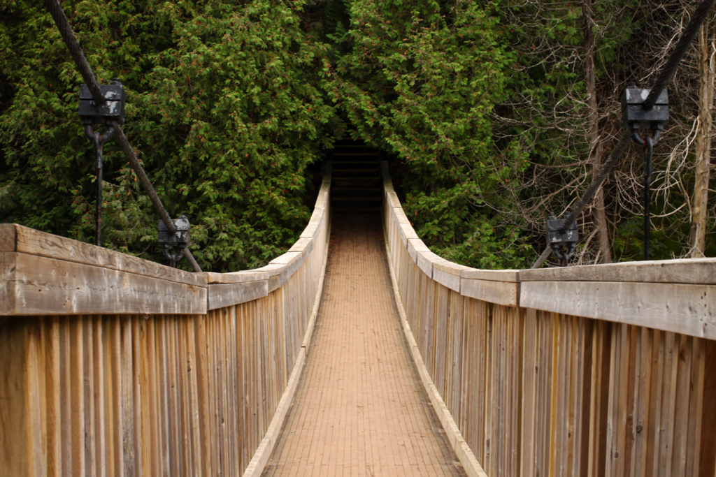 Belfountain Conservation Area in Autumn 2013 Belfountain C… Flickr