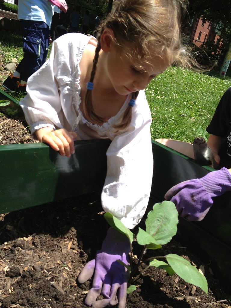 First Grade Science Gardening 2013 Flickr