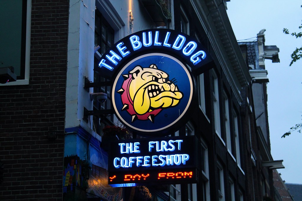 IMG_2939 Amsterdam, Bulldog the first Michael Costa Flickr
