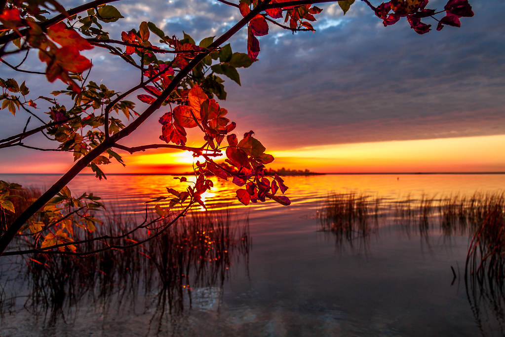 SunsetSt. Ambroise Sunset at St. Ambroise Beach Garry Shepherd