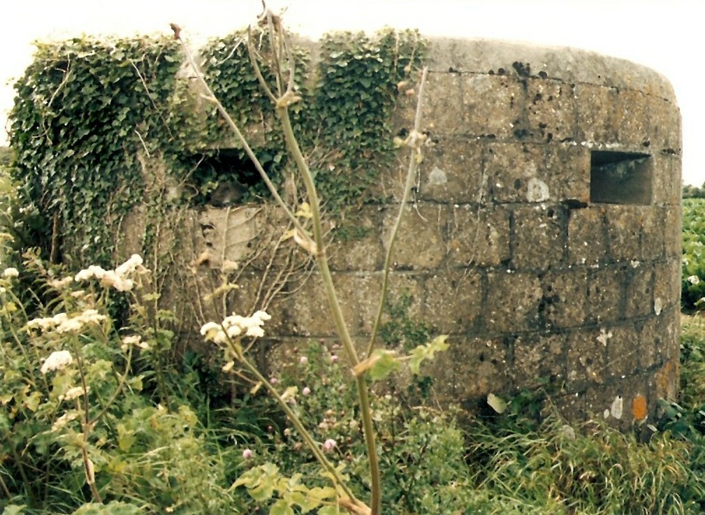 WW1 Pillbox, Happisburgh Road, White Horse Common, North W… Flickr