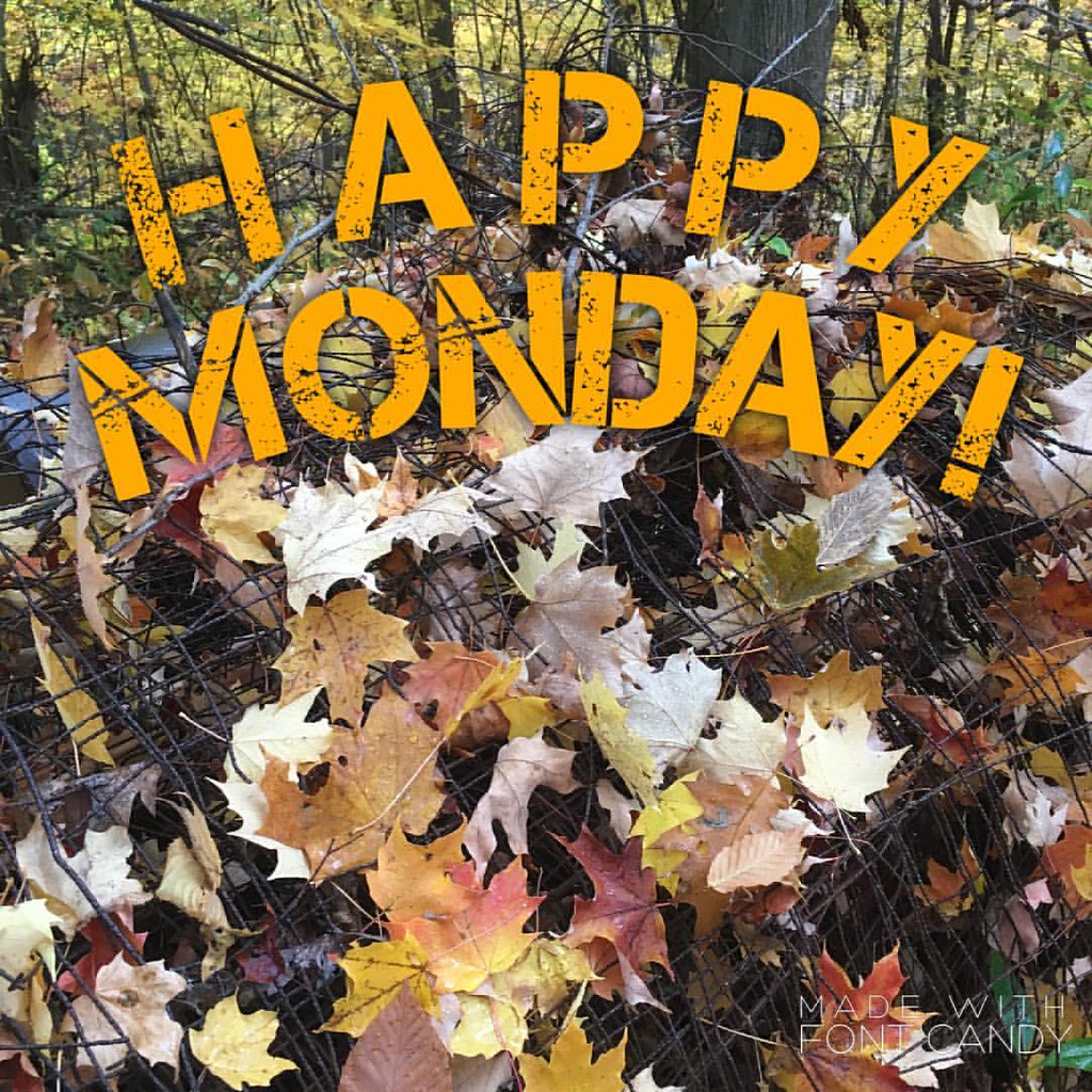 Sunshine in Ohio, enjoy! fallleaves Julie Petty Flickr