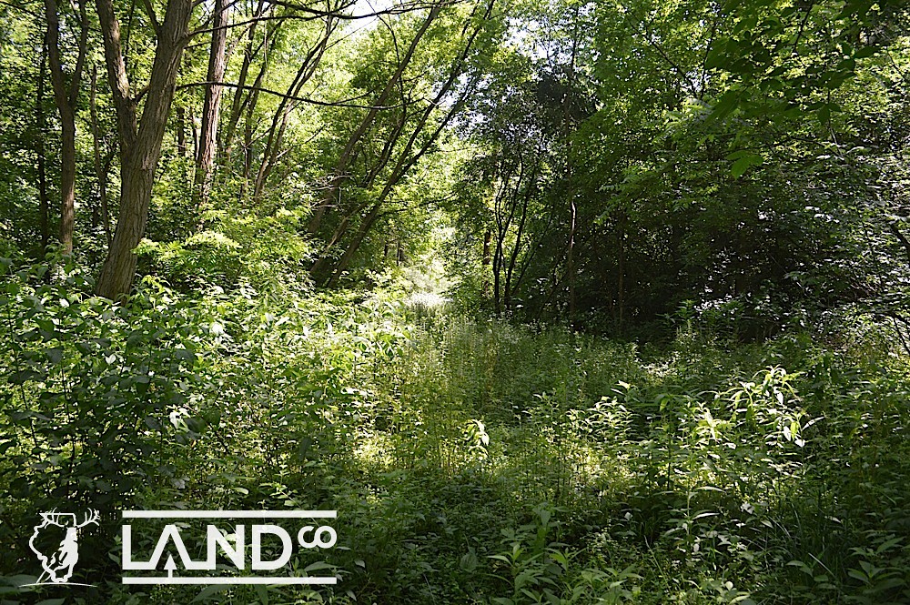 Marshall 38 Illinois Land for Sale Flickr