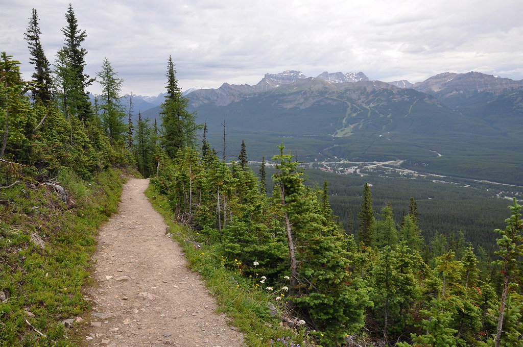 The Trail Ahead Hike up Fairview Mountain Banff National P… Flickr