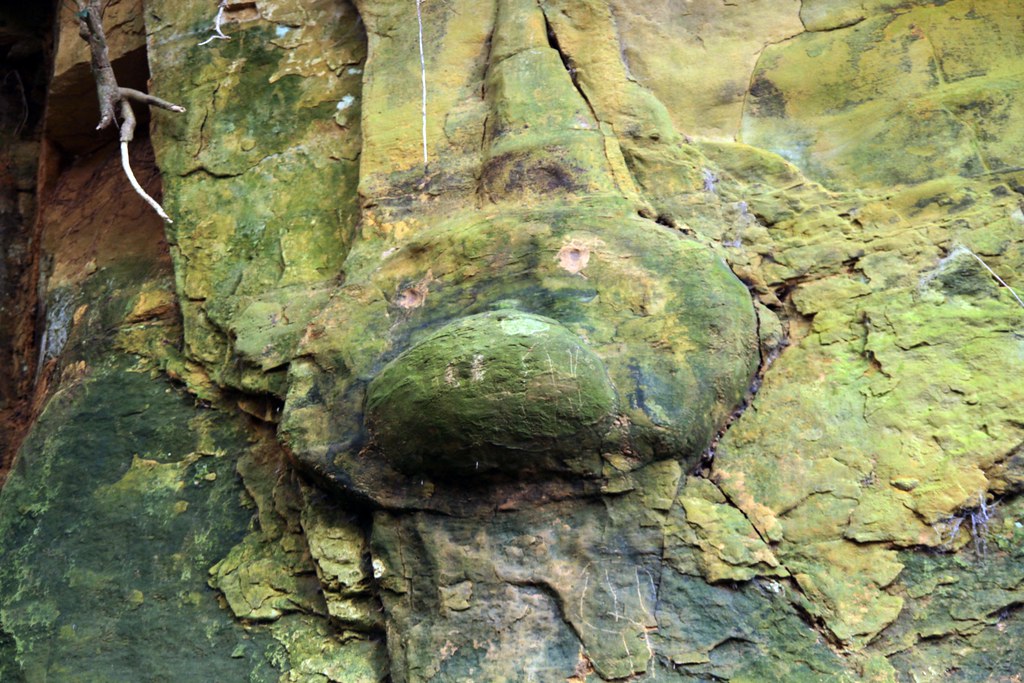 Hell Lane 10 An ancient Green Lane running between Symonds… Flickr