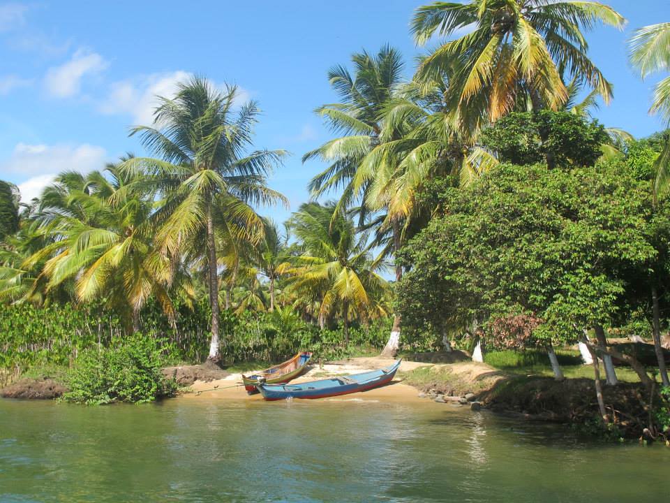 485780_579377415417198_1557934865_n Vanessa Pereira Flickr