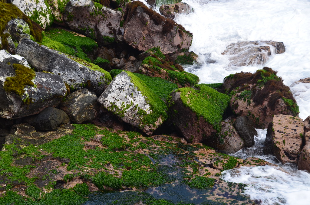 Hike to Shipman Beach (a0005027) Thomas Tunsch Flickr