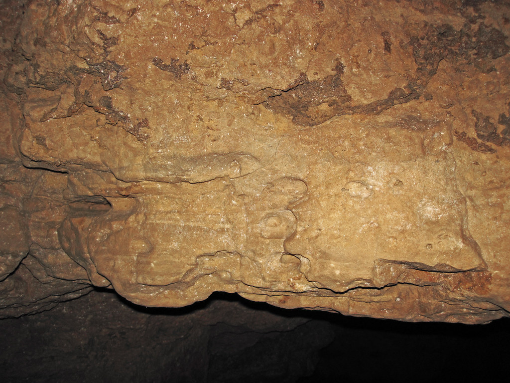 Solution pockets in dolostone (Prairie du Chien Group, Ord… Flickr