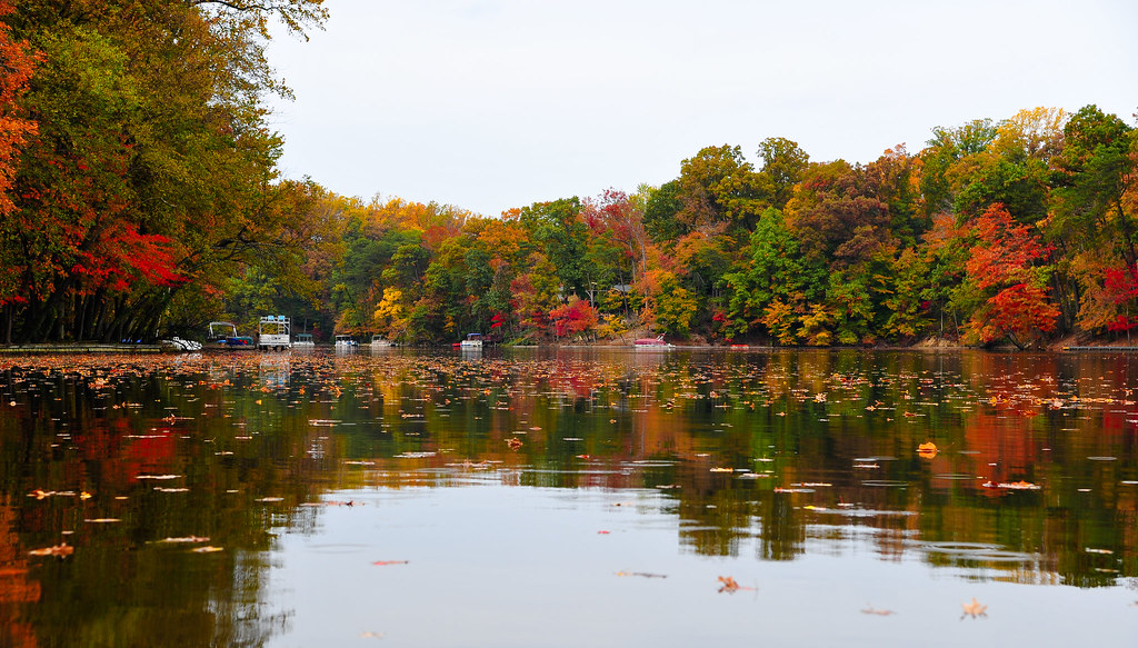 Autumn on the lake. Lake Barcroft, Falls Church, VA saffarinia