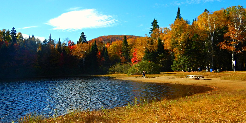 20161109 Lac Chat Parc national du MontTremblant. Octob… Flickr