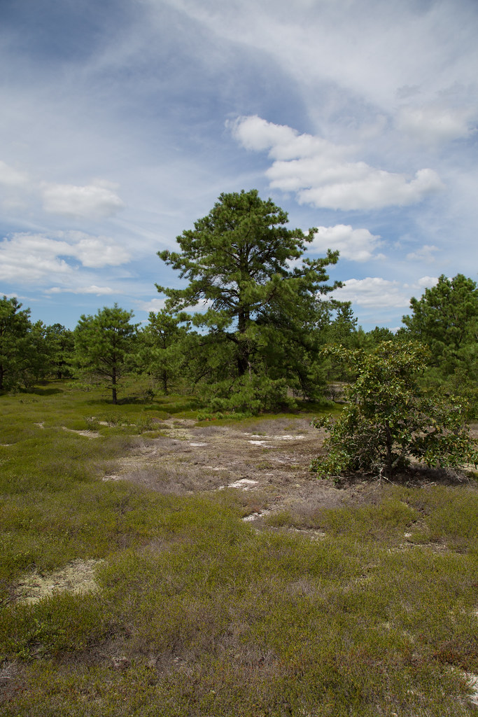 Warren Grove, NJ August 2013 Flickr