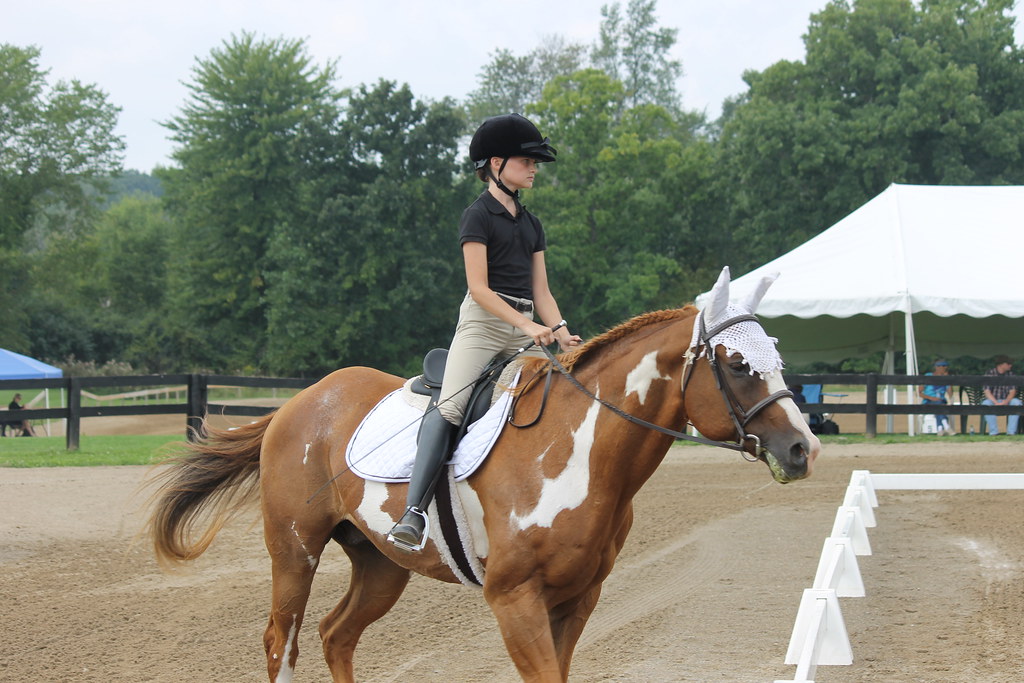 Dressage at Woodbine Schooling Show (August 24, 2014 Che… Flickr