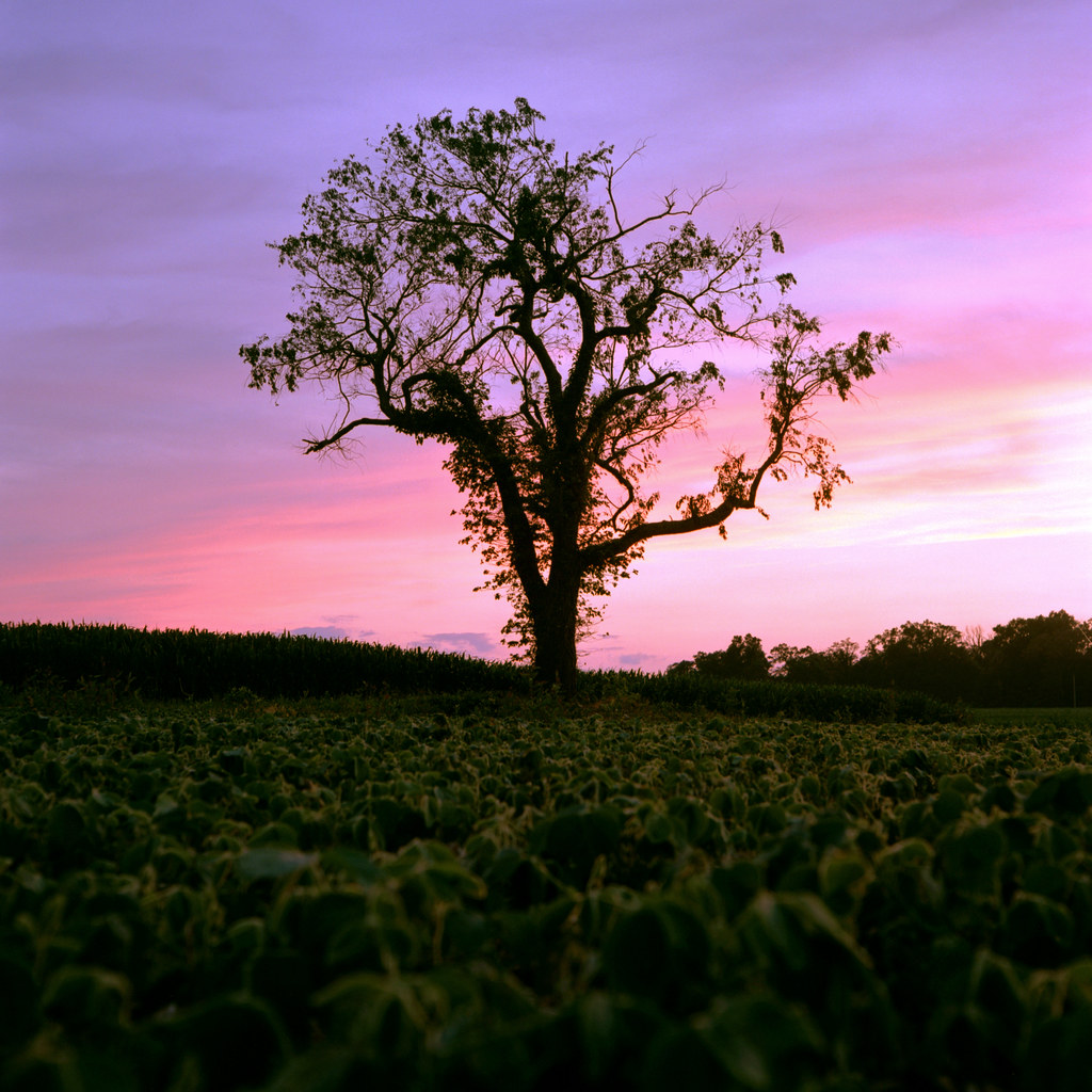 Elevation of New Freedom Railroad Station, Northern Central Railway