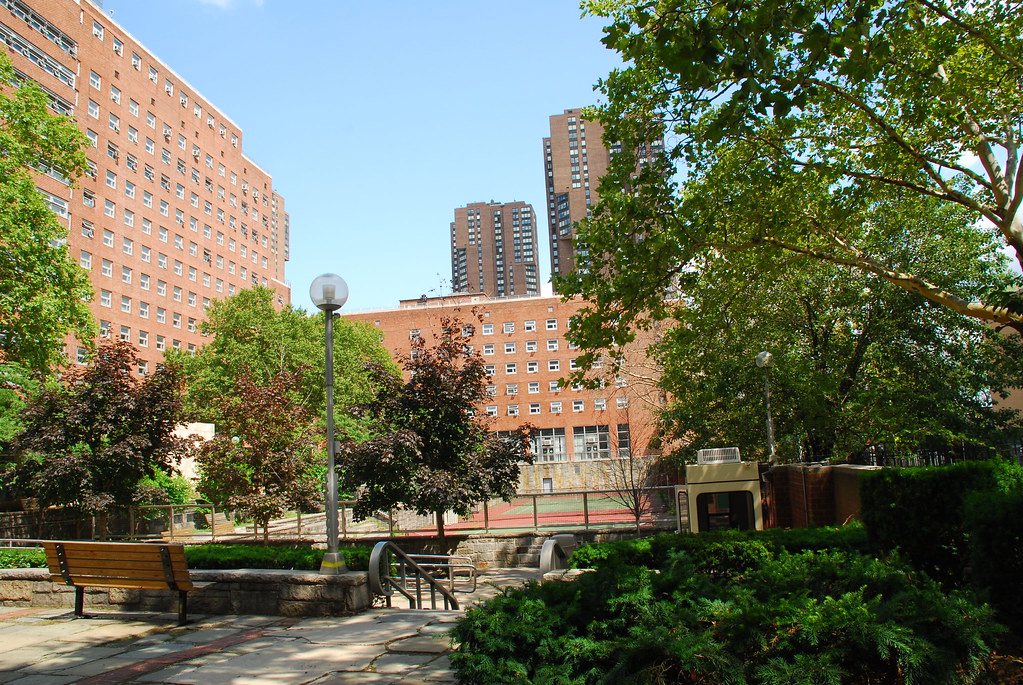 Brookdale Side View Free to use, just credit Alex Lorenz Berellian