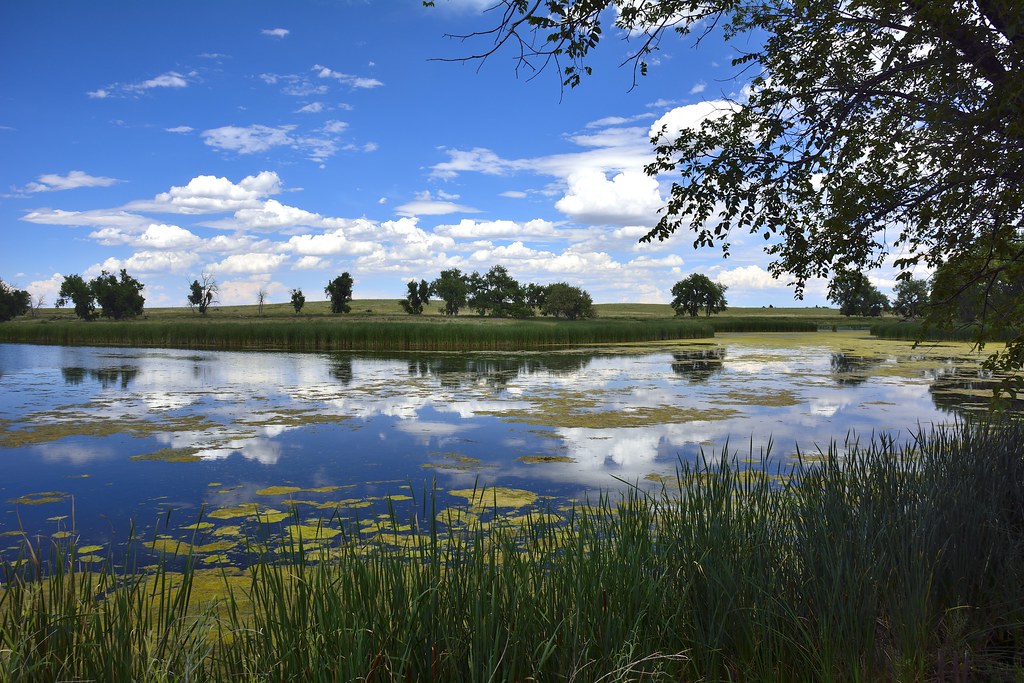 Lake Ladora Taken at the Rocky Mountain Arsenal National W… Flickr