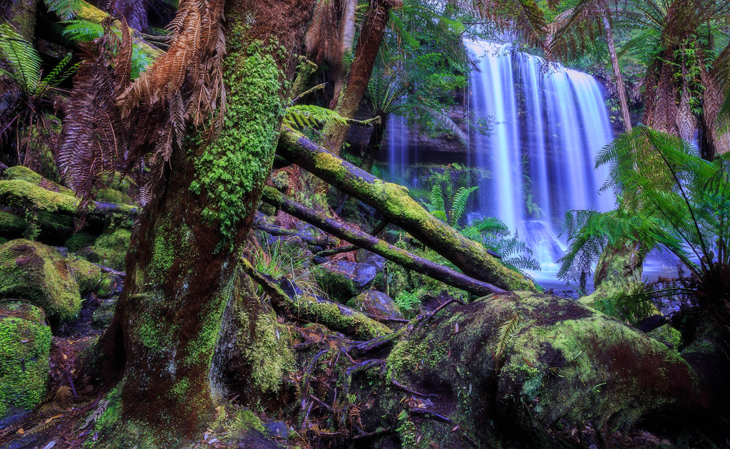 Elevation of Maydena TAS, Australia Topographic Map Altitude Map