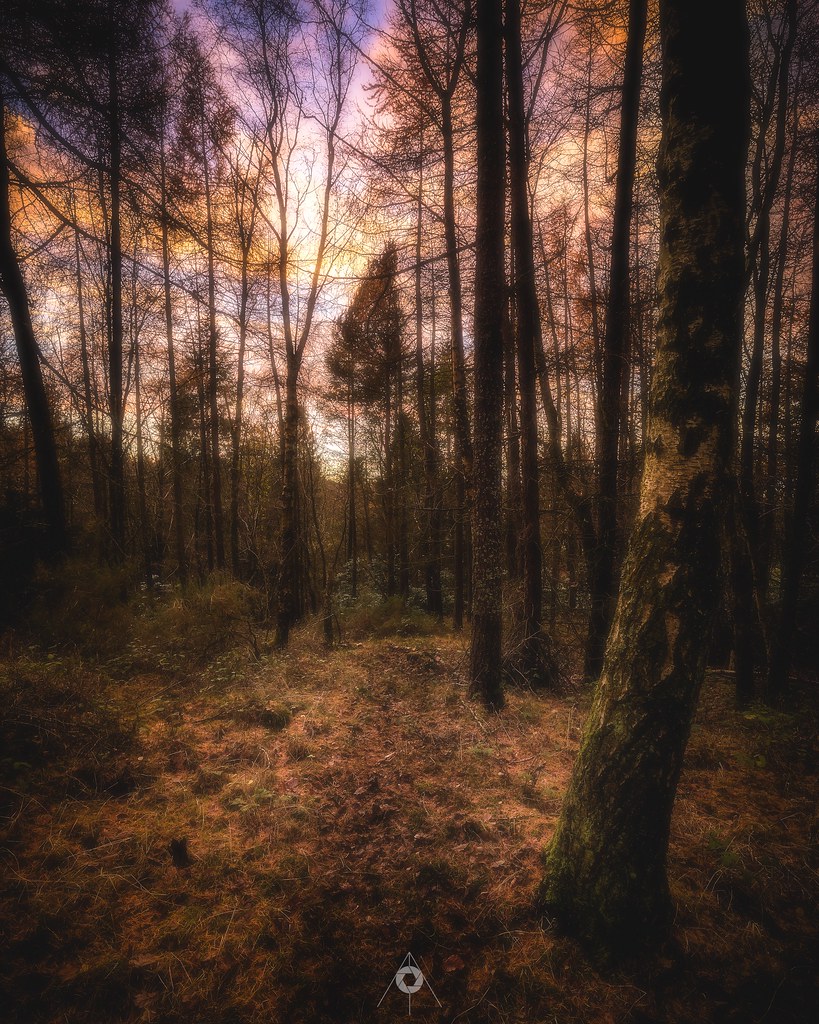 Elevation of Bell Gardens, Perth PH2, UK Topographic Map Altitude Map