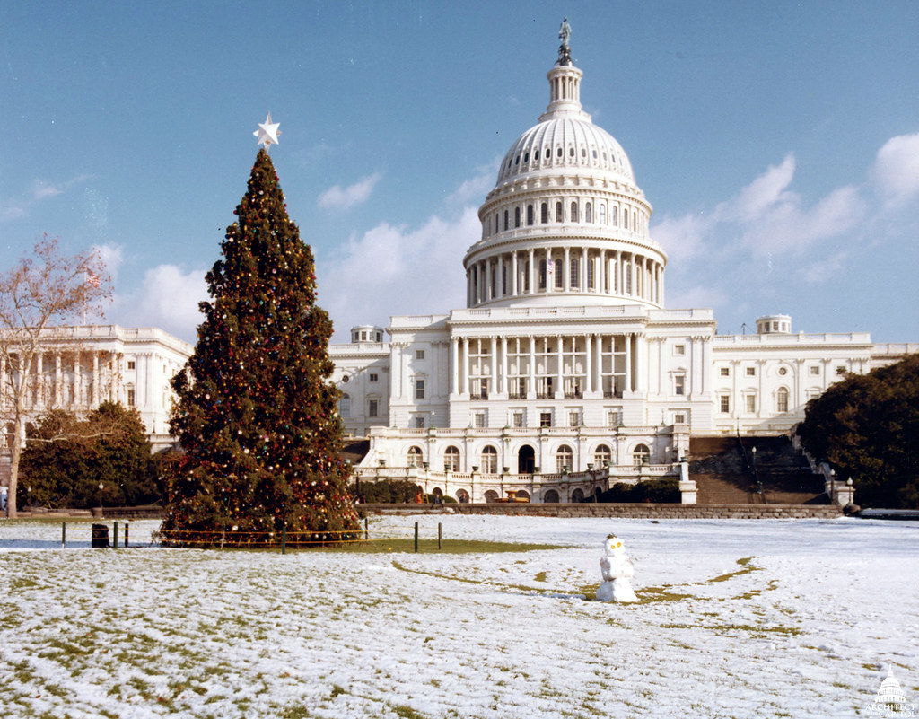 1981 U.S. Capitol Christmas Tree The 1981 tree was a 50 fo… Flickr