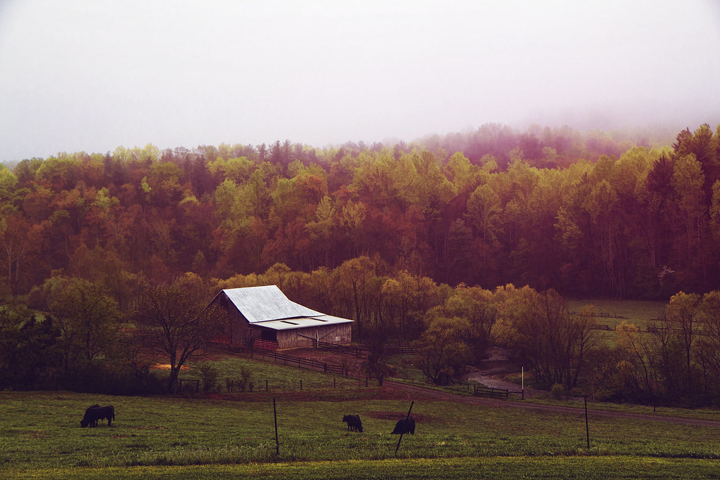 Barn at ster Corner Southwestern Virginia in Spring... Flickr