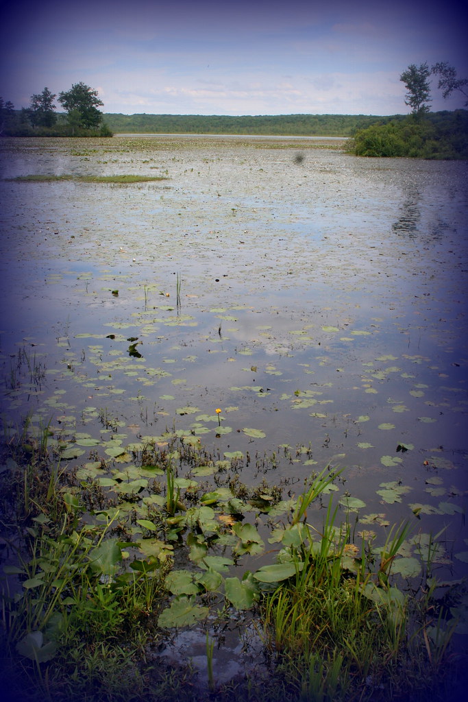 Peck's Pond,PA bulletproofsoul67 Flickr