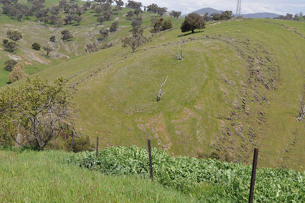 Wee Jasper Road (Yass to Wee Jasper), NSW This series are … Flickr