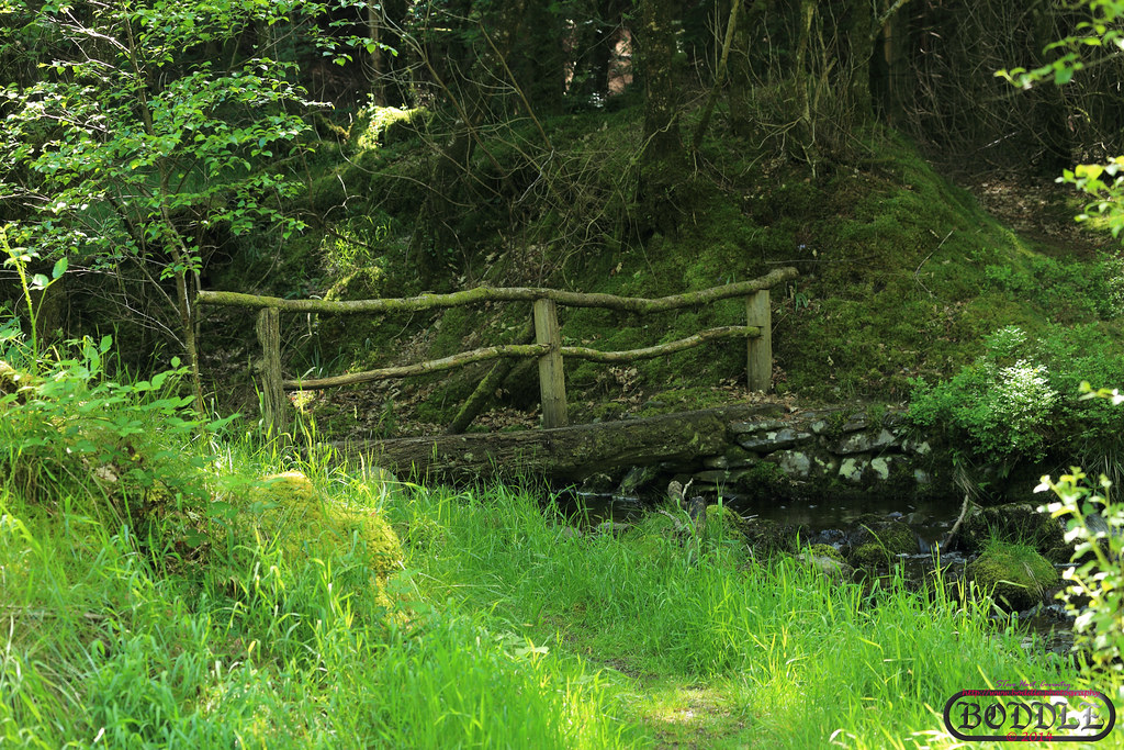 Holiday June 2014 Hafod Estate Wales (Nr Devil's Bridge) Flickr
