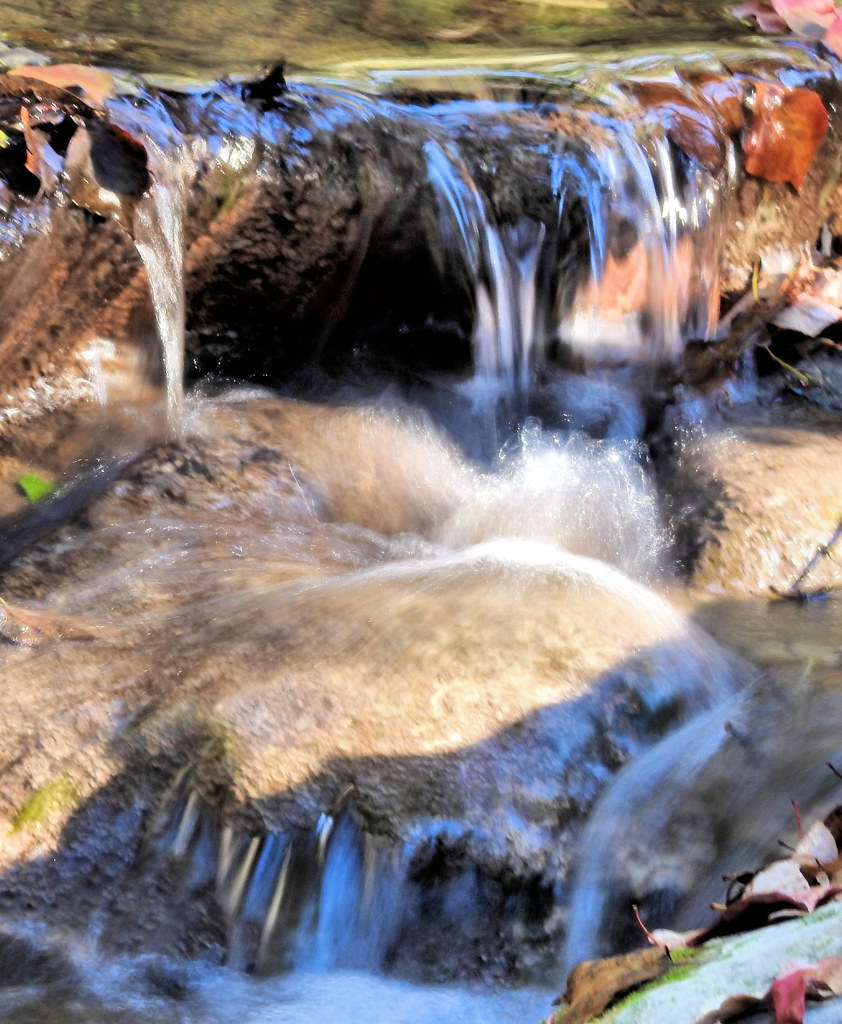 little fern creek waterfall David Alexander Flickr