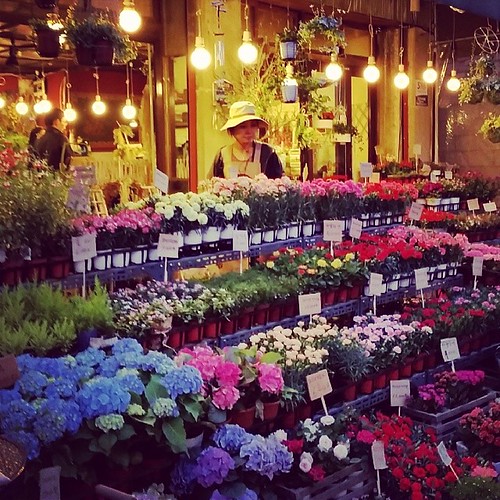 Flower shop Seoul seoul streetscape Flickr