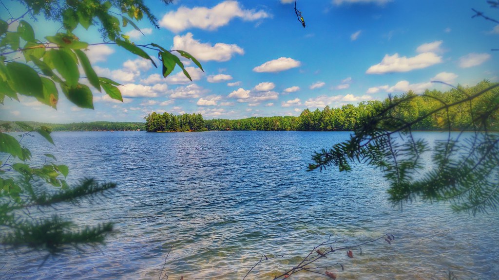 Star Lake Plum Lake Hemlock Forest State Natural Area, Vil… Flickr