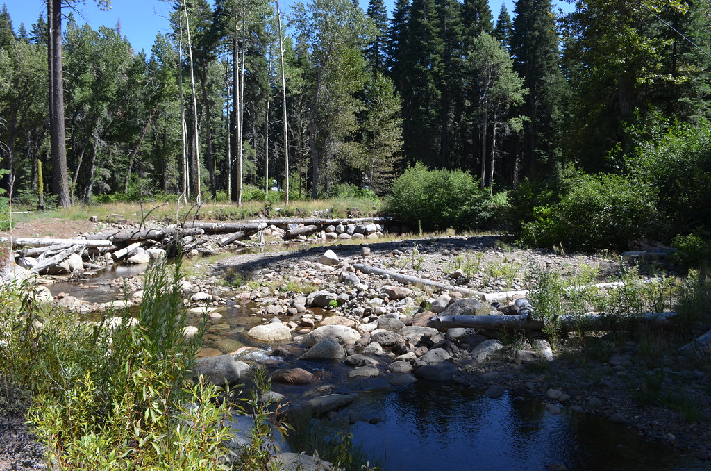 Blackwood Creek A restored section of Blackwood Creek sout… Flickr
