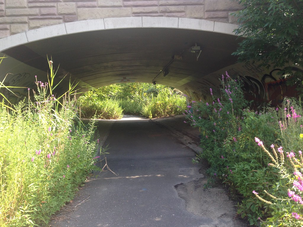 Alley Pond Park Queens, NY Taken on a geocaching trip t… Flickr