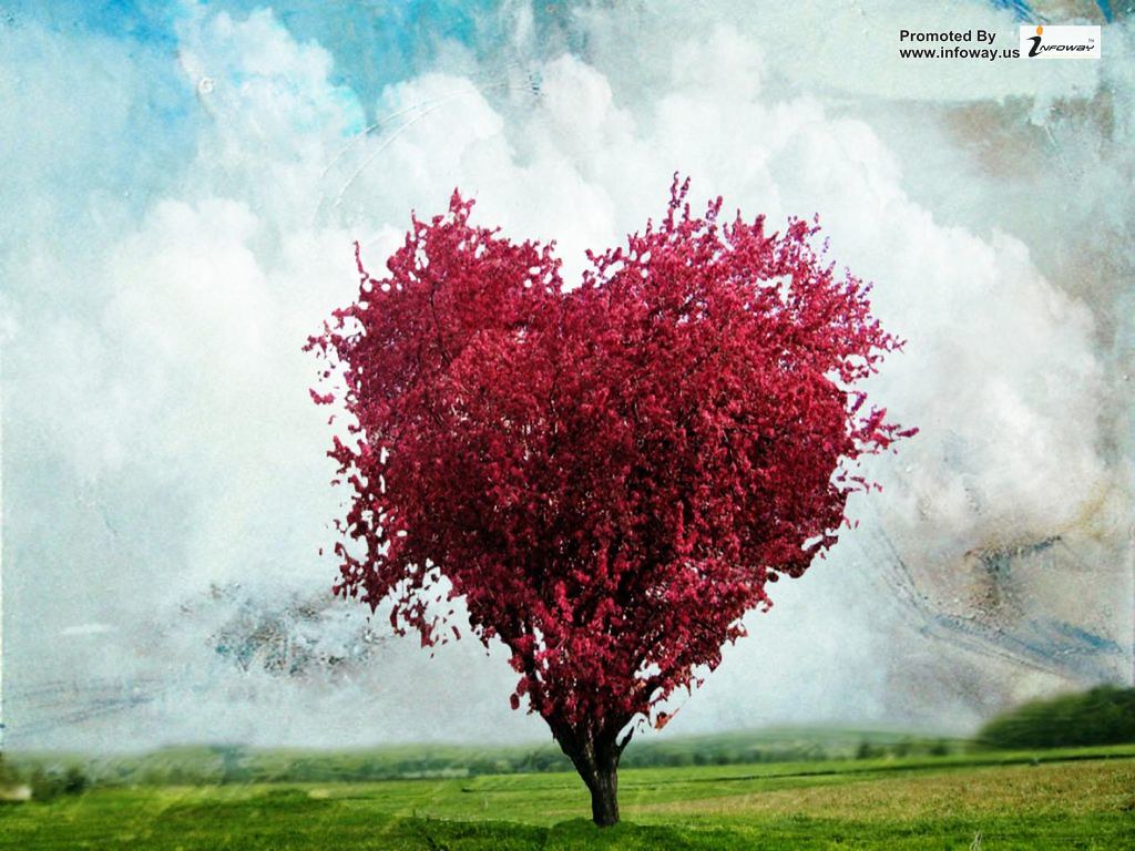 Pink Heart Tree Wallpaper Pink Heart Tree Wallpaper Flickr