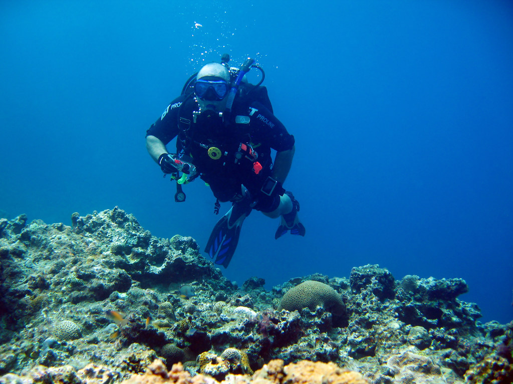 Scuba Diving Okinawa 2014, Toilet Bowl, Carl in the toilet… Flickr