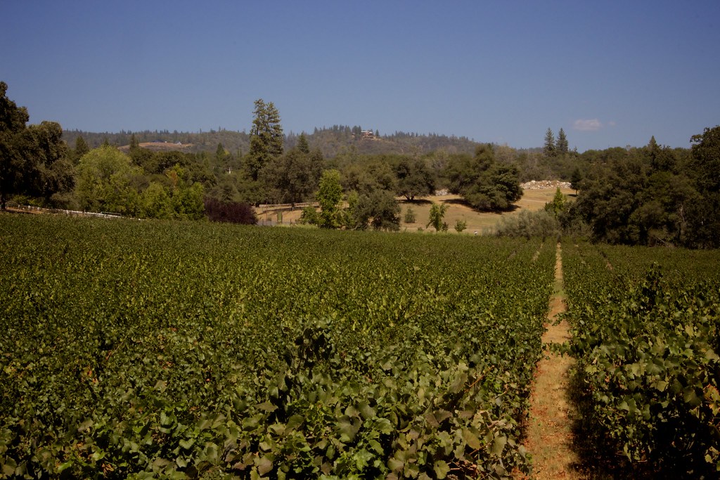 Ironstone Vineyards Mercer, California James Gunn Flickr
