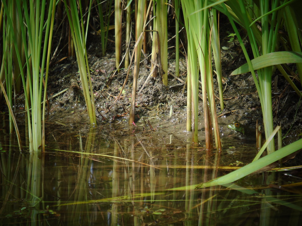 Dardenne Prairie, MO Flickr