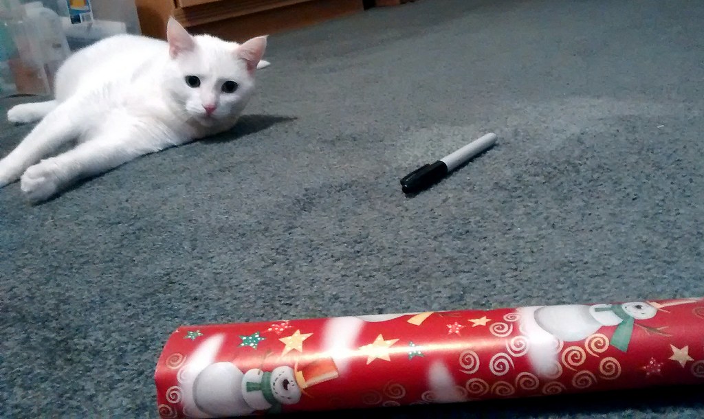 Peaches Helping Wrap Christmas Presents. I was wrapping Ch… Flickr