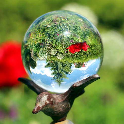 gardenball StefleiFotografie Flickr