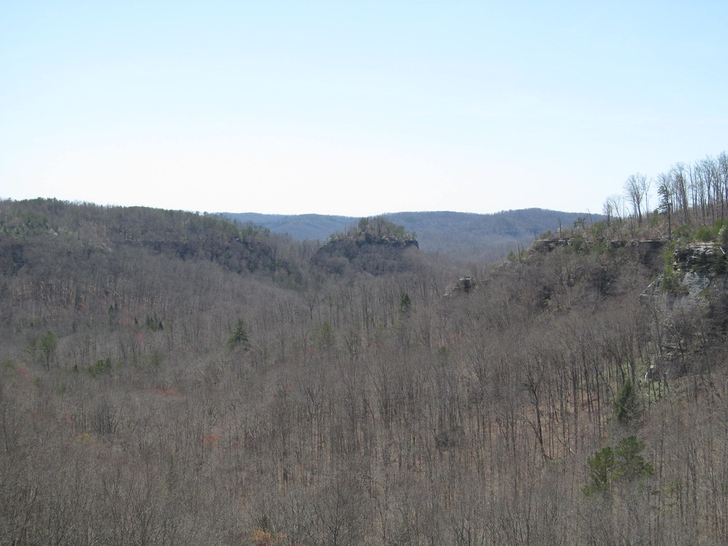 Pinnacles McCreary County, Kentucky Pinnacles Daniel B… Flickr