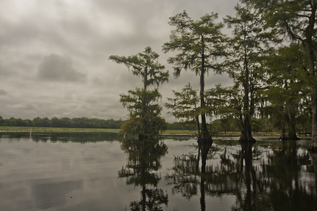 IMG_5366 Chicot State Park Ville Platte, Louisiana Evangel… Flickr