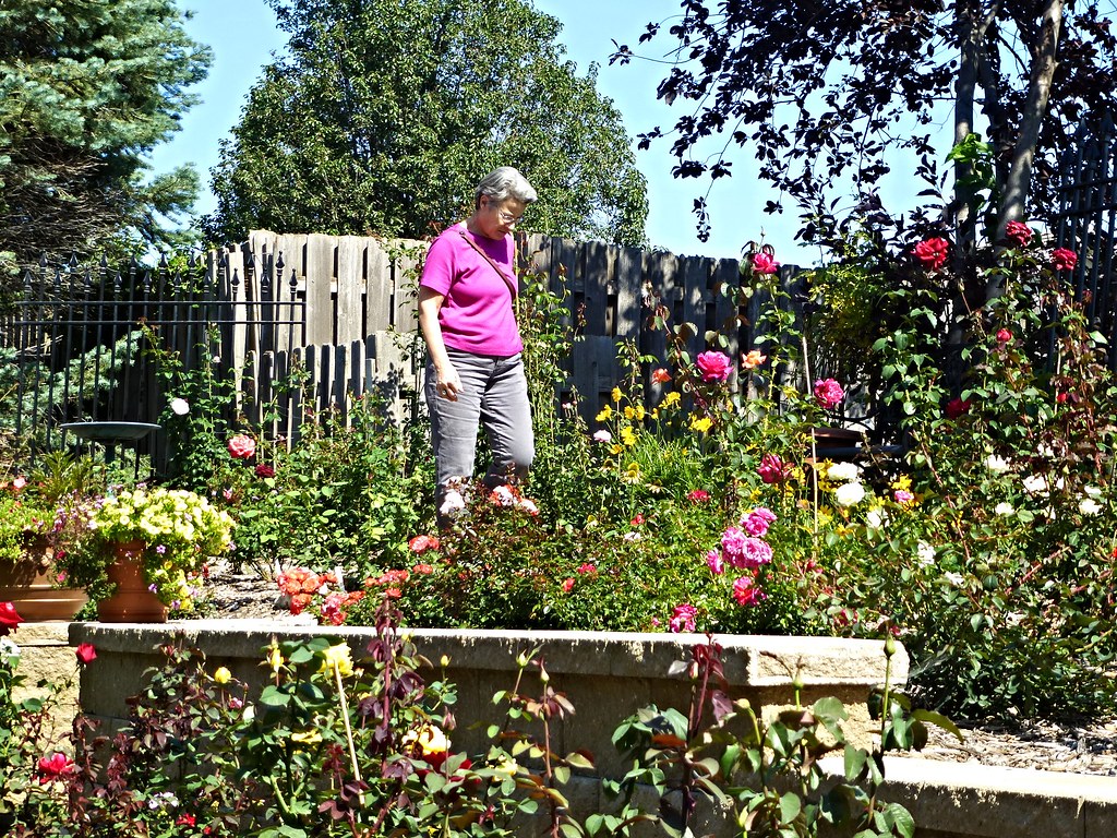 Catherine at Jean's rose garden, Omaha Ali Eminov Flickr