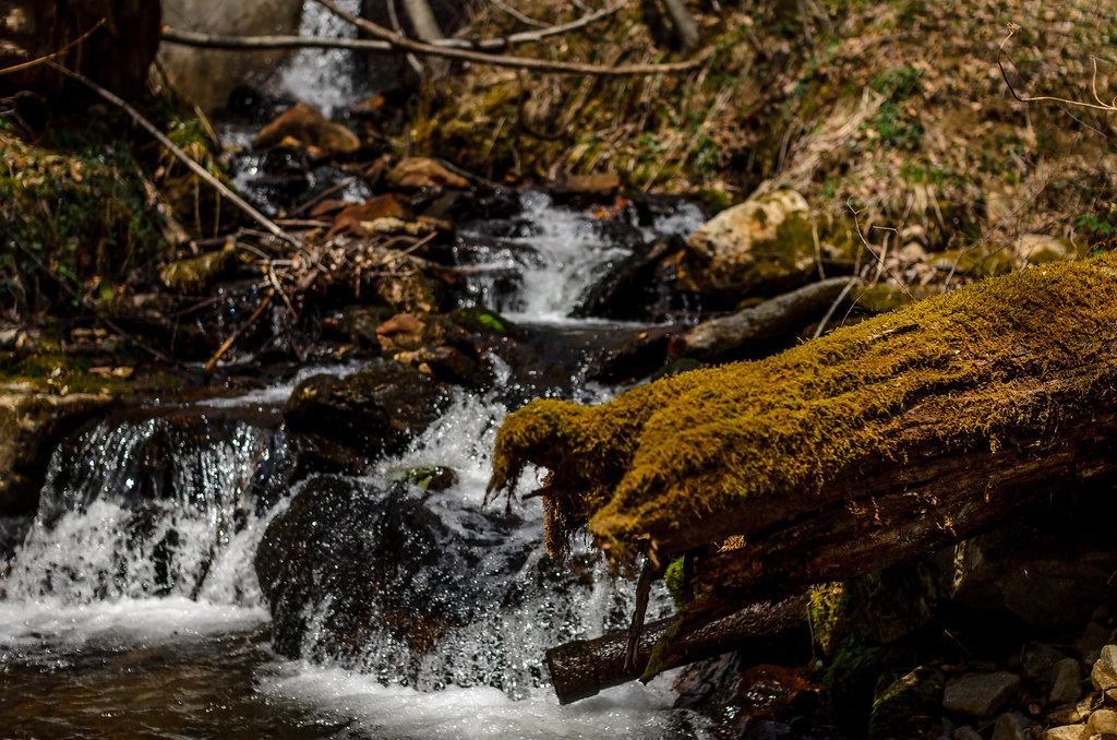 Falls Scott Freeman Flickr