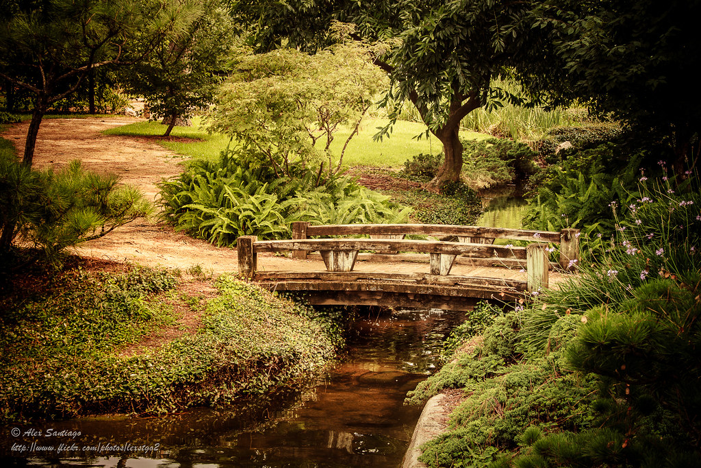 Memories of Japan Japanese Garden at Hermann Park Alex Santiago